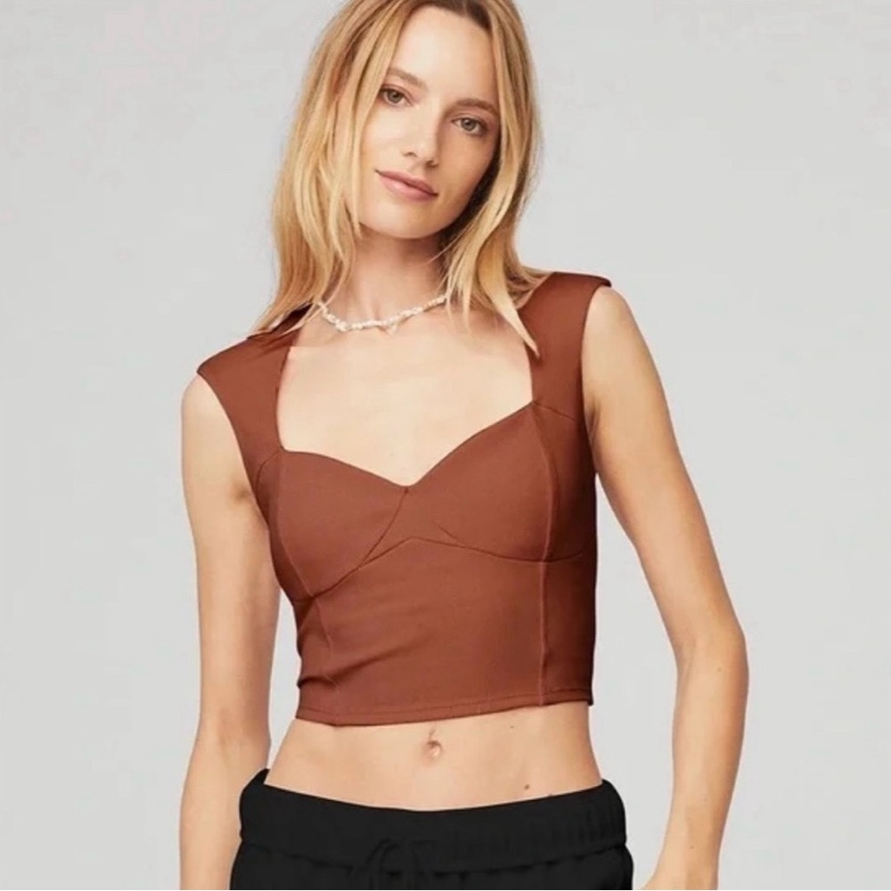 ALO Yoga Terracotta Crop Top